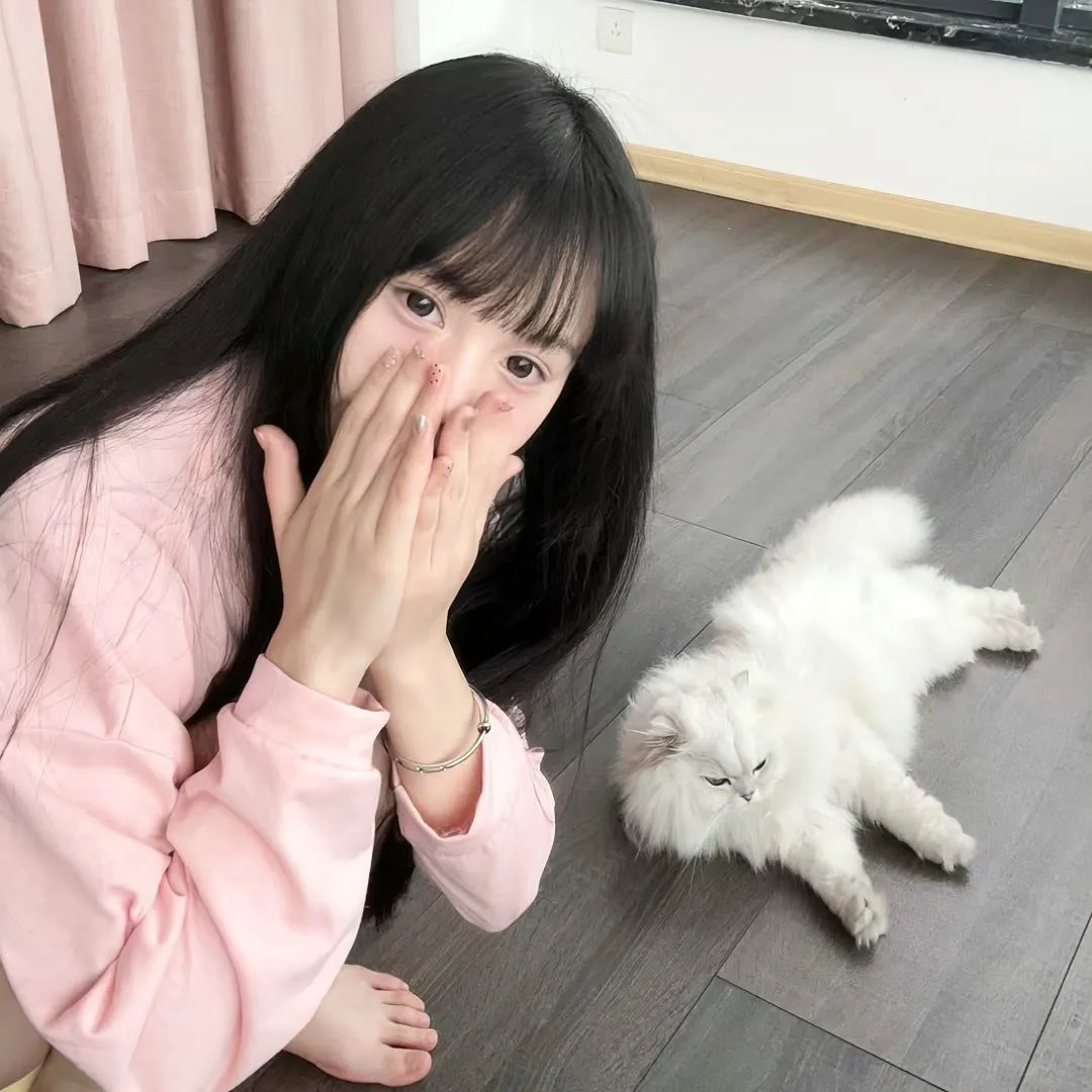热铁皮屋顶上的猫